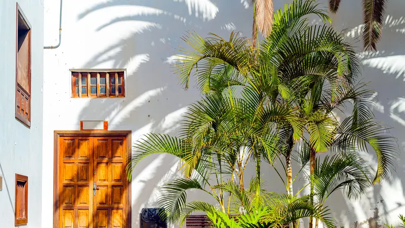 Palm & Pineapple Roofing and Exteriors